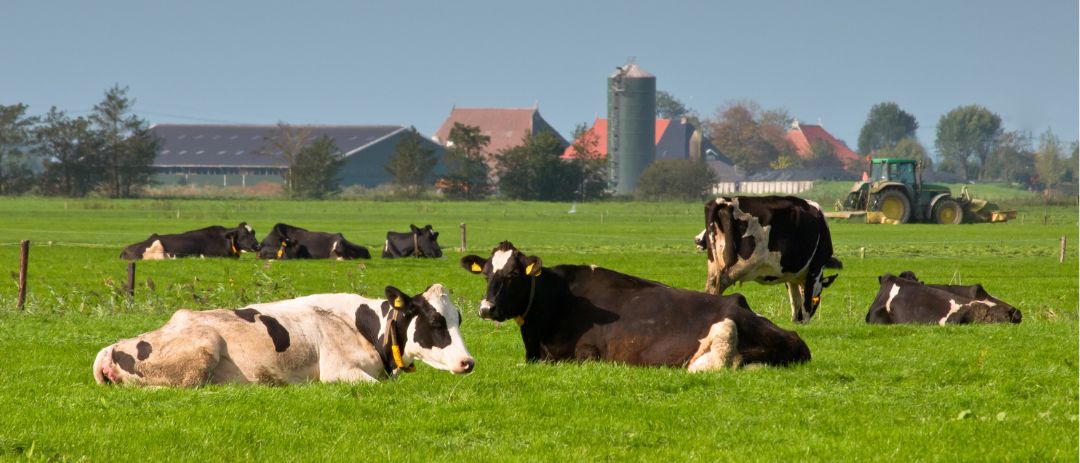 Le DEP en Mécanique agricole: au cœur du «garde-manger» du Québec